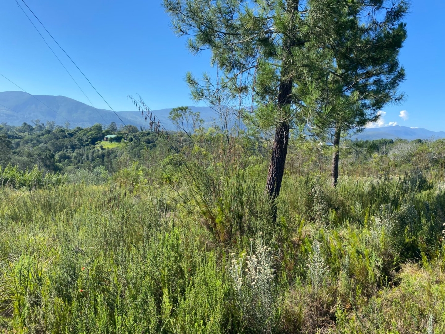 Commercial Property for Sale in Plettenberg Bay Rural Western Cape